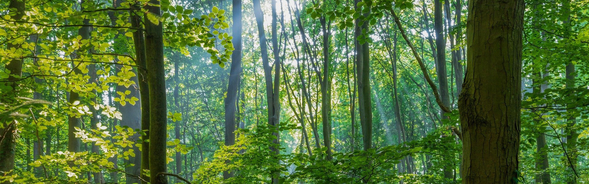 Angebote - bei Fitmacher aus der Natur