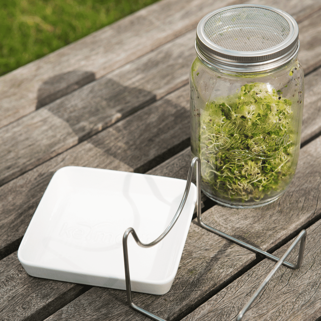 Keimgrün Sprossen - Set - Fitmacher aus der Natur