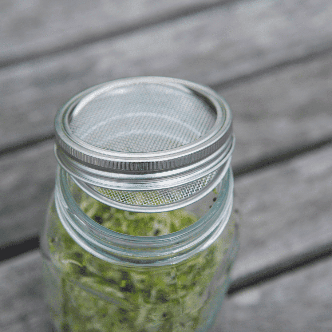 Keimgrün Sprossen-Set - Keimgrün Sprossen - Set - Fitmacher aus der Natur