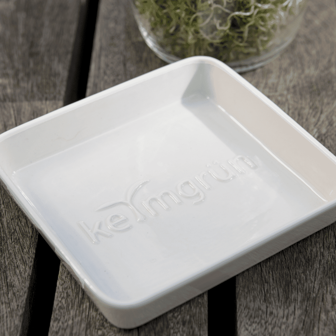 Keimgrün Sprossen-Set - Keimgrün Sprossen - Set - Fitmacher aus der Natur